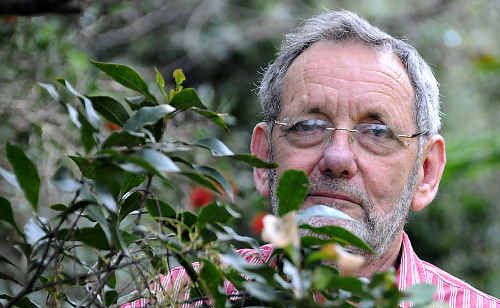 Ian McConachie with one discovered and endangered macadamia variety. Ian McConachie with one discovered and endangered macadamia variety.